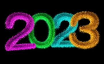 我的2023作文800字初三作文优质7篇
