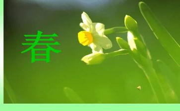 奋斗的青春演讲稿500字7篇