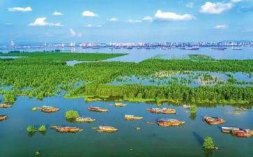 最新土地流转合同7篇