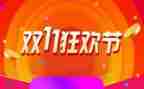 双11活动总结模板5篇